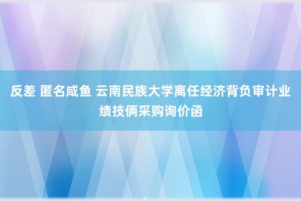 反差 匿名咸鱼 云南民族大学离任经济背负审计业绩技俩采购询价函