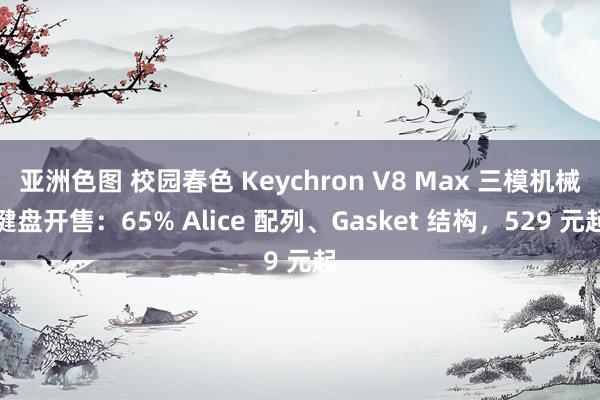 亚洲色图 校园春色 Keychron V8 Max 三模机械键盘开售：65% Alice 配列、Gasket 结构，529 元起