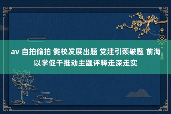 av 自拍偷拍 雠校发展出题 党建引颈破题 前海以学促干推动主题评释走深走实