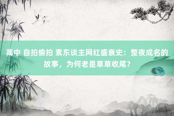 高中 自拍偷拍 素东谈主网红盛衰史：整夜成名的故事，为何老是草草收尾？