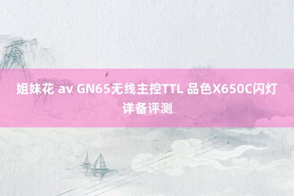 姐妹花 av GN65无线主控TTL 品色X650C闪灯详备评测