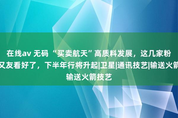 在线av 无码 “买卖航天”高质料发展，这几家粉丝一又友看好了，下半年行将升起|卫星|通讯技艺|输送火箭技艺