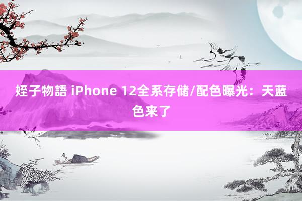 姪子物語 iPhone 12全系存储/配色曝光：天蓝色来了