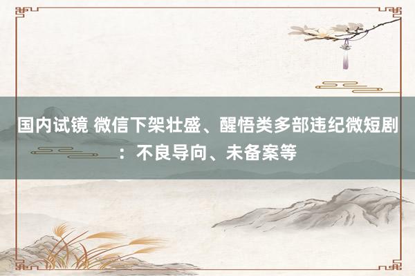 国内试镜 微信下架壮盛、醒悟类多部违纪微短剧：不良导向、未备案等