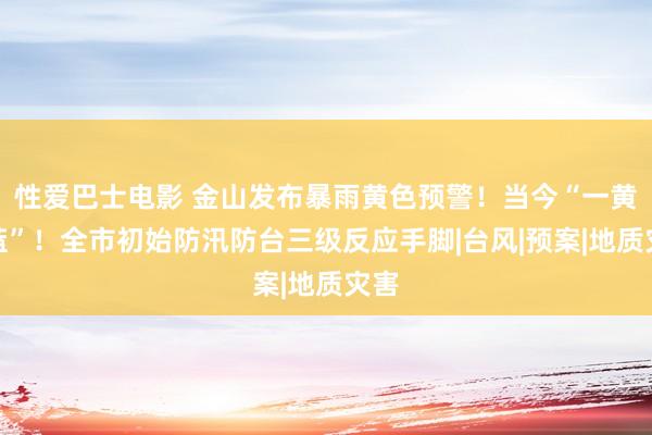 性爱巴士电影 金山发布暴雨黄色预警！当今“一黄一蓝”！全市初始防汛防台三级反应手脚|台风|预案|地质灾害