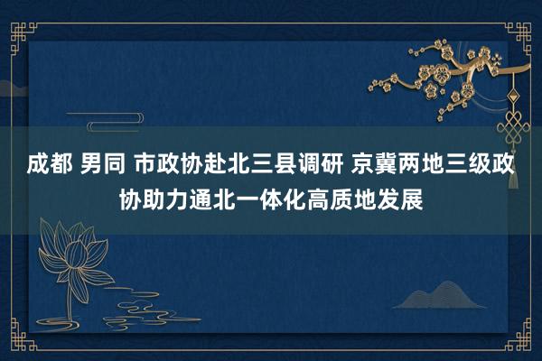 成都 男同 市政协赴北三县调研 京冀两地三级政协助力通北一体化高质地发展