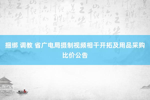 捆绑 调教 省广电局摄制视频相干开拓及用品采购比价公告